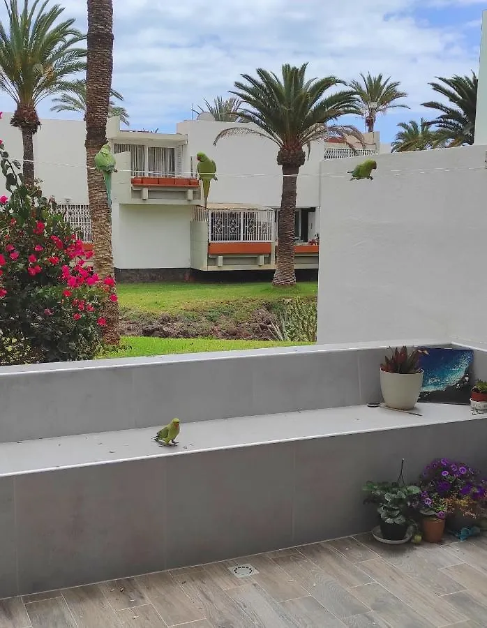 Ideal Holiday Apartment In The South Of Tenerife Costa Del Silencio